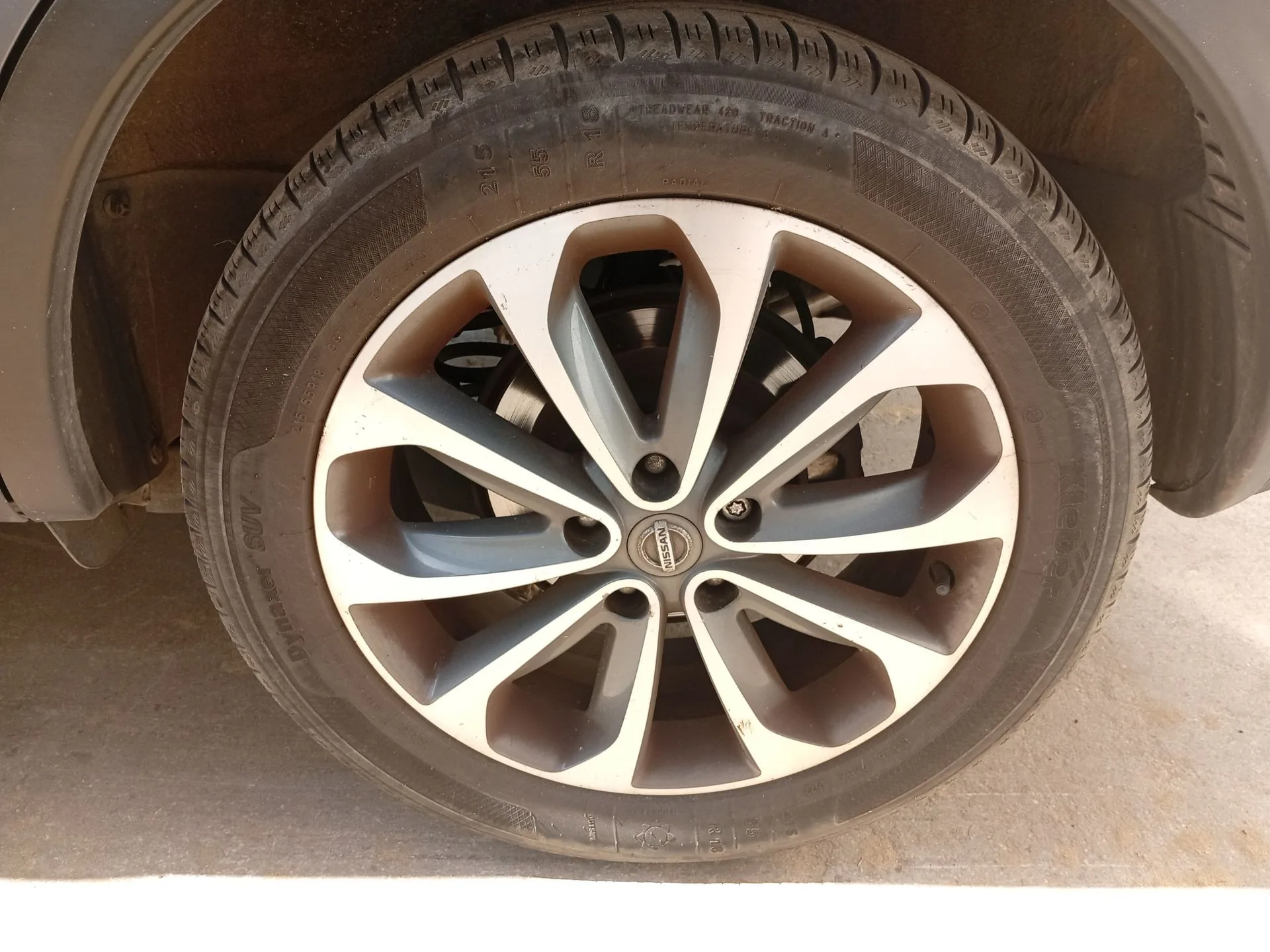 Mangueta Trasera Izquierda para Nissan Qashqai I (J10, Nj10)