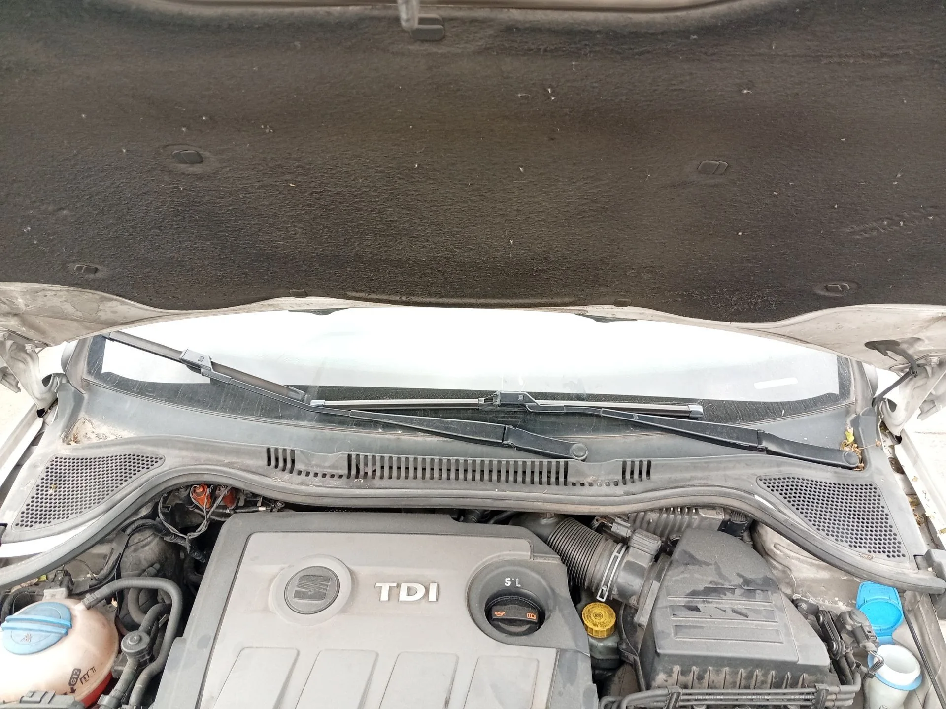 Torpedo para Seat Ibiza Iv (6J5, 6P1)