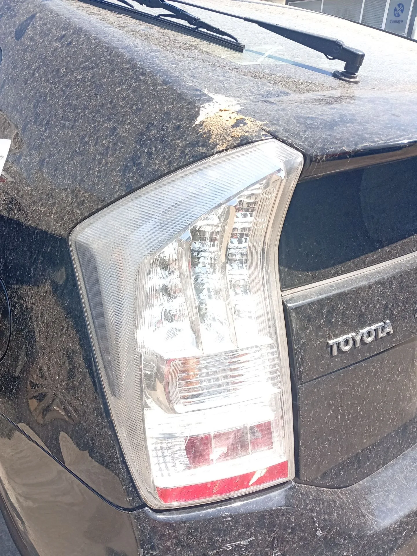 Piloto Trasero Izquierdo para Toyota Prius (_W3_)