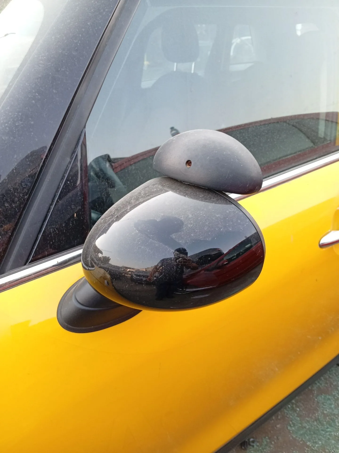 Retrovisor Izquierdo para Mini Mini (F55)