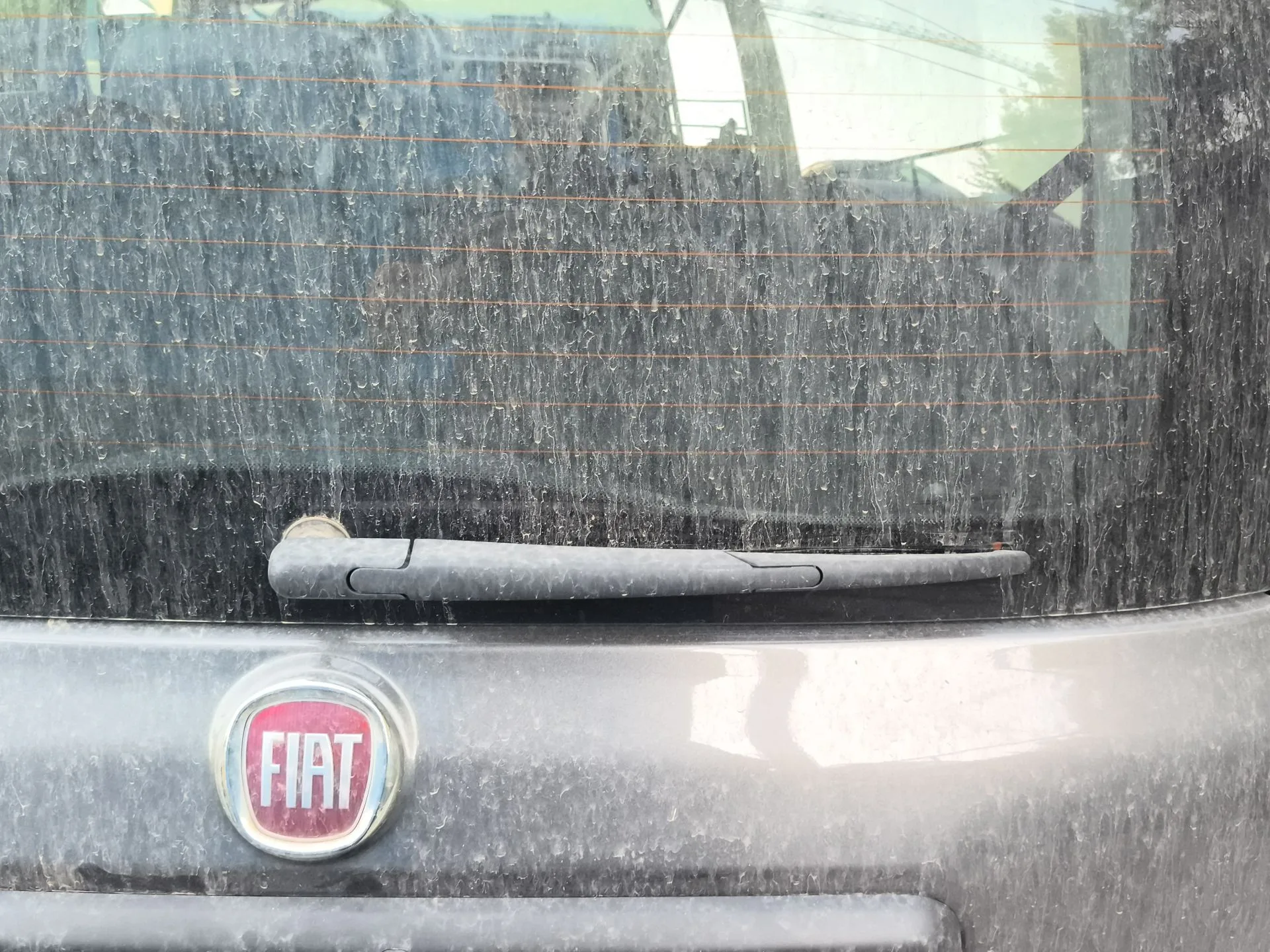 Brazo Limpia Trasero para Fiat Panda (312_, 319_)