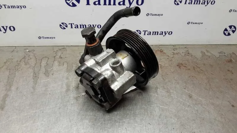 Bomba Servodireccion para Hyundai Getz (Tb)