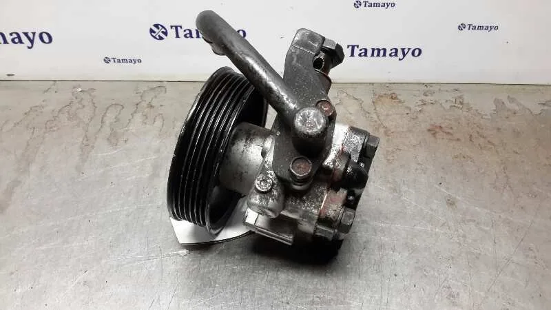 Bomba Servodireccion para Hyundai Getz (Tb)