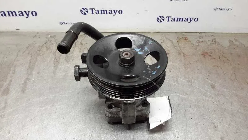 Bomba Servodireccion para Hyundai Getz (Tb)