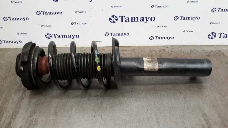 Amortiguador Delantero Izquierdo para Audi Tt (8J3/8J9)