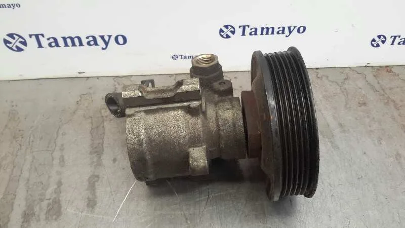 Bomba Servodireccion para Seat Ibiza (6K1)