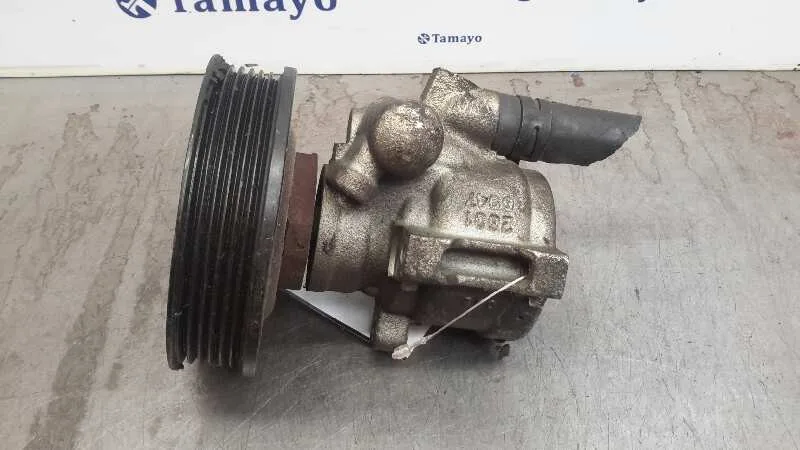 Bomba Servodireccion para Seat Ibiza (6K1)