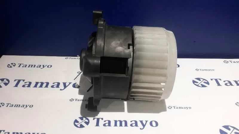 Motor Calefaccion para Smart Forfour