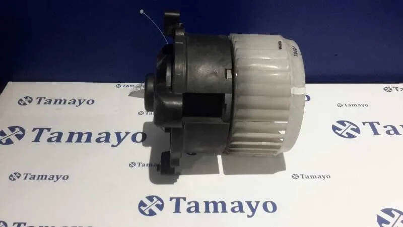 Motor Calefaccion para Smart Forfour