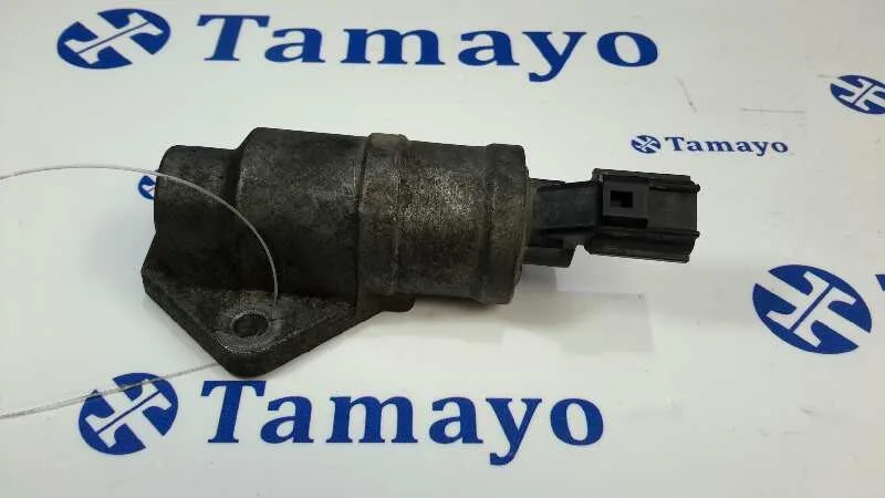 Valvula Ralenti para Ford Ka (Ccq)