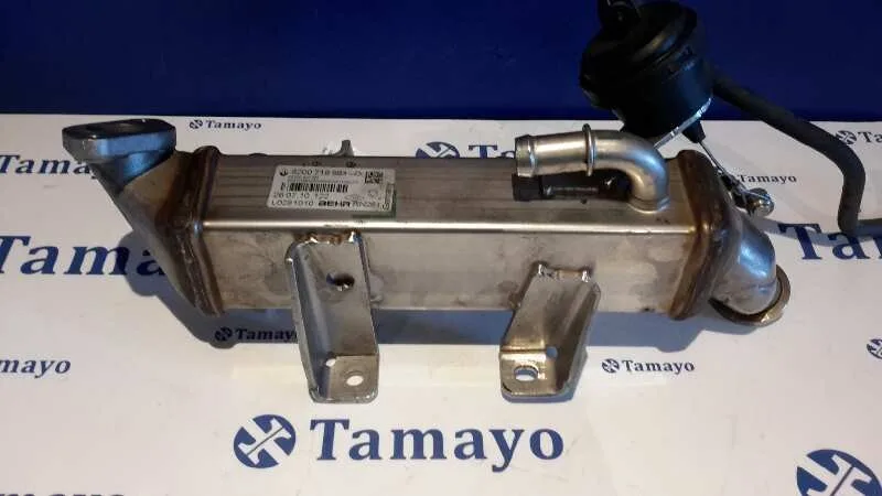Enfriador Gases para Renault Trafic Caja Cerrada (Ab 4.01)