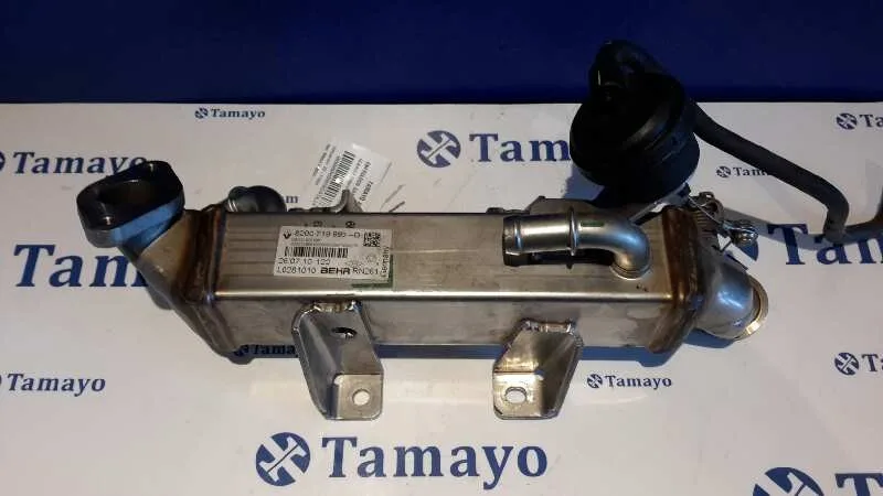 Enfriador Gases para Renault Trafic Caja Cerrada (Ab 4.01)
