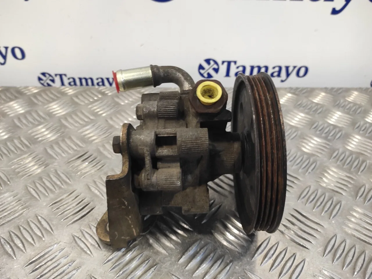 Bomba Direccion para Chrysler Voyager (Rg)