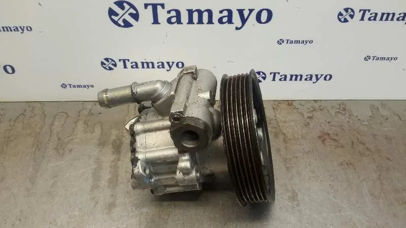 Bomba Servodireccion para Audi A3 (8L)