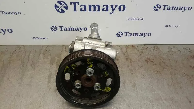 Bomba Servodireccion para Audi A3 (8L)