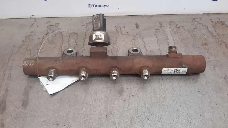 Rampa Inyectora para Renault Megane Ii Berlina 3P