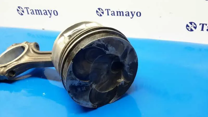 Biela para Bmw Serie 5 Berlina (E39)