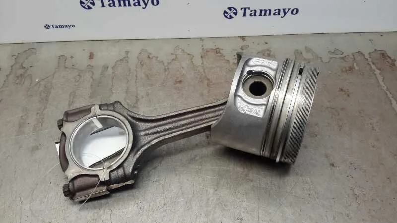 Biela para Bmw Serie 5 Berlina (E39)