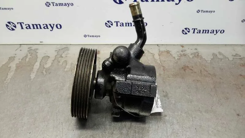 Bomba Servodireccion para Citroën Jumper Caja Cerrada (1)