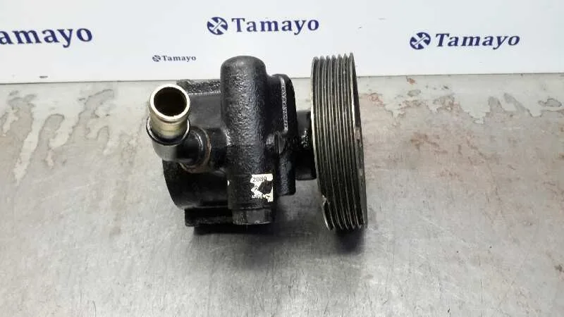 Bomba Servodireccion para Citroën Jumper Caja Cerrada (1)