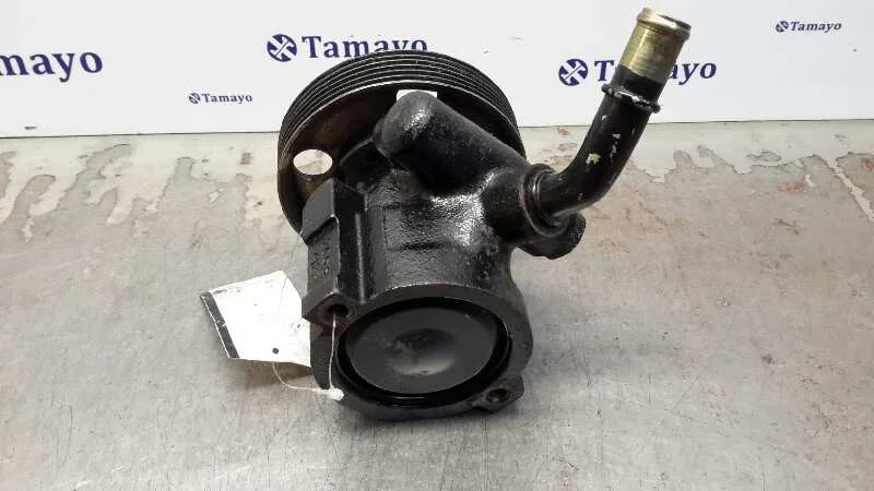 Bomba Servodireccion para Citroën Jumper Caja Cerrada (1)