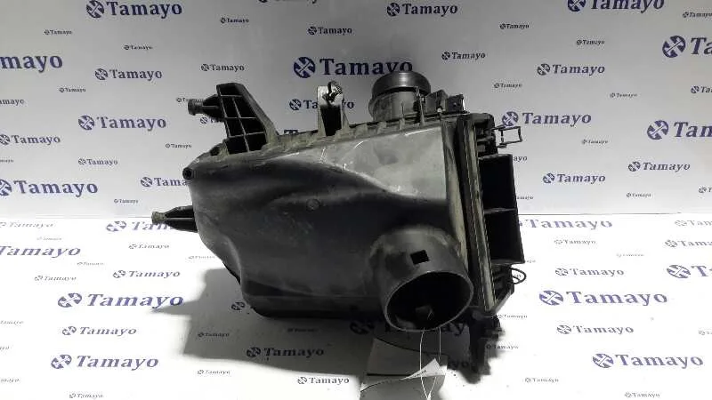 Carcasa Filtro Aire para Nissan Qashqai (J10)