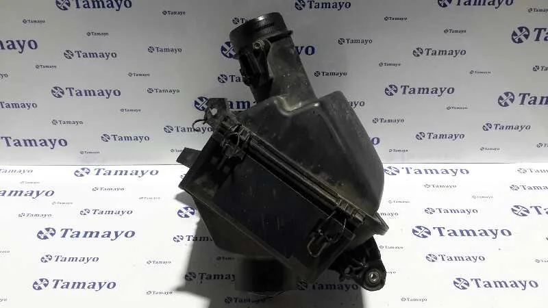 Carcasa Filtro Aire para Nissan Qashqai (J10)