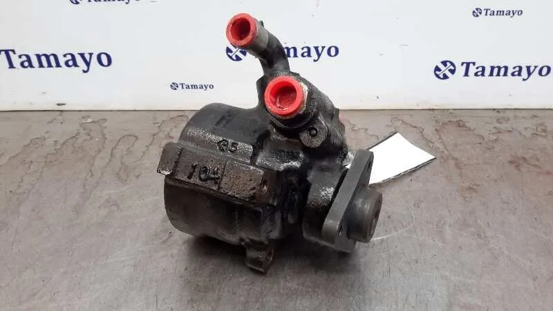 Bomba Direccion para Fiat Doblo Cargo (223)