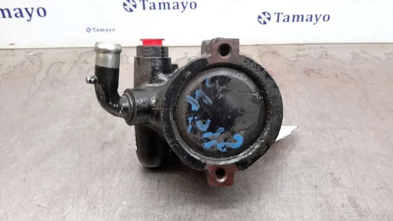 Bomba Direccion para Fiat Doblo Cargo (223)