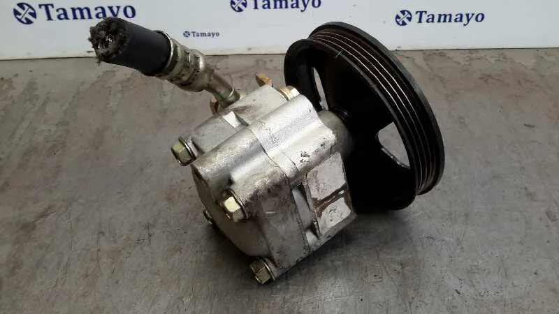 Bomba Servodireccion para Nissan Almera (N16/E)