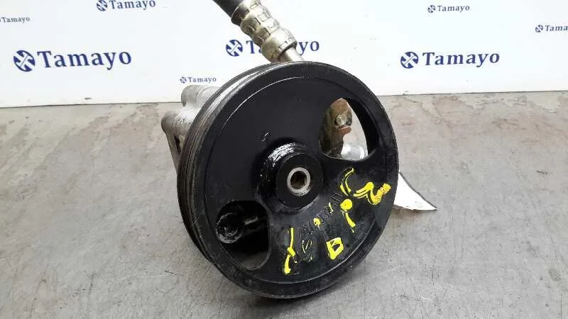 Bomba Servodireccion para Nissan Almera (N16/E)