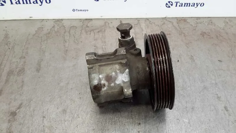 Bomba Servodireccion para Seat Toledo (1M2)