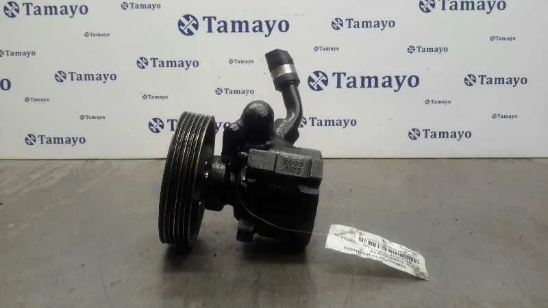 Bomba Servodireccion para Citroën Jumper Caja Cerrada (1)