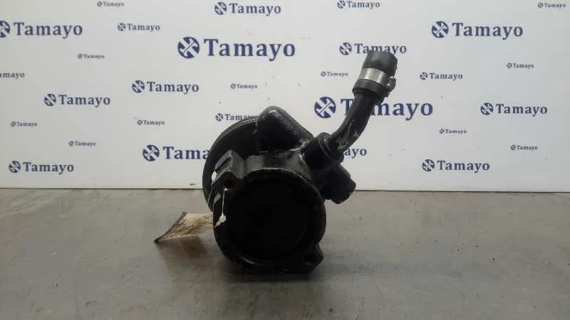 Bomba Servodireccion para Citroën Jumper Caja Cerrada (1)