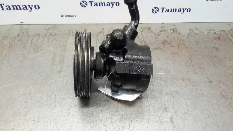 Bomba Servodireccion para Peugeot Boxer Caja Cerrada (Rs2850)(230)(->'02)