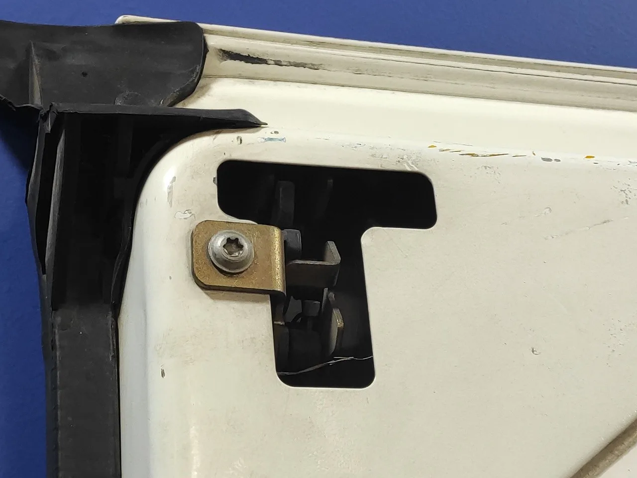 Puerta Trasera Carga Izquierda para Ford Transit Caja Cerrada, Larga (Fy) (2000 =>)