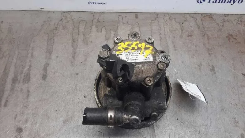 Bomba Servodireccion para Peugeot Expert Kombi