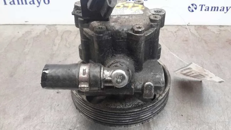 Bomba Servodireccion para Peugeot Expert Kombi