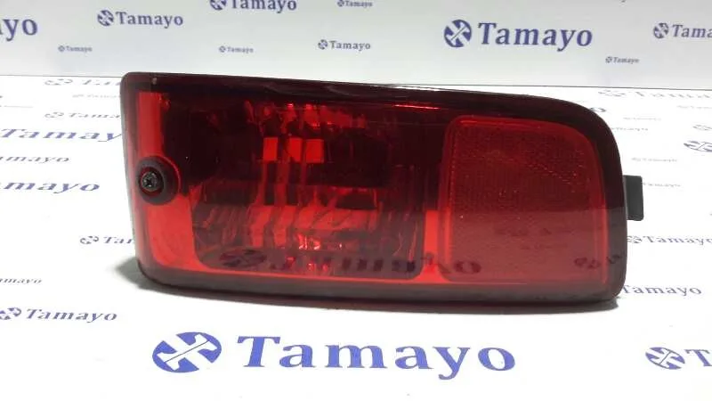 Piloto Trasero Paragolpes Derecho para Hyundai Santa Fe (Sm)