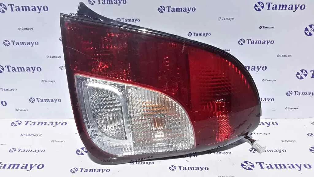 Piloto Trasero Derecho para Kia Carens