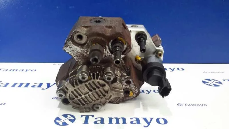 Bomba Inyeccion para Renault Vel Satis (Bj0)