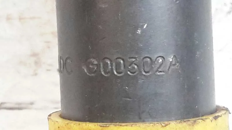 Inyector para Tata Indigo Marina