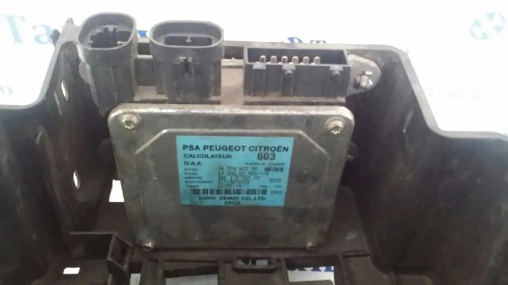 Modulo Electronico para Peugeot 1007
