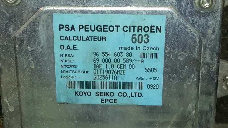 Modulo Electronico para Peugeot 1007
