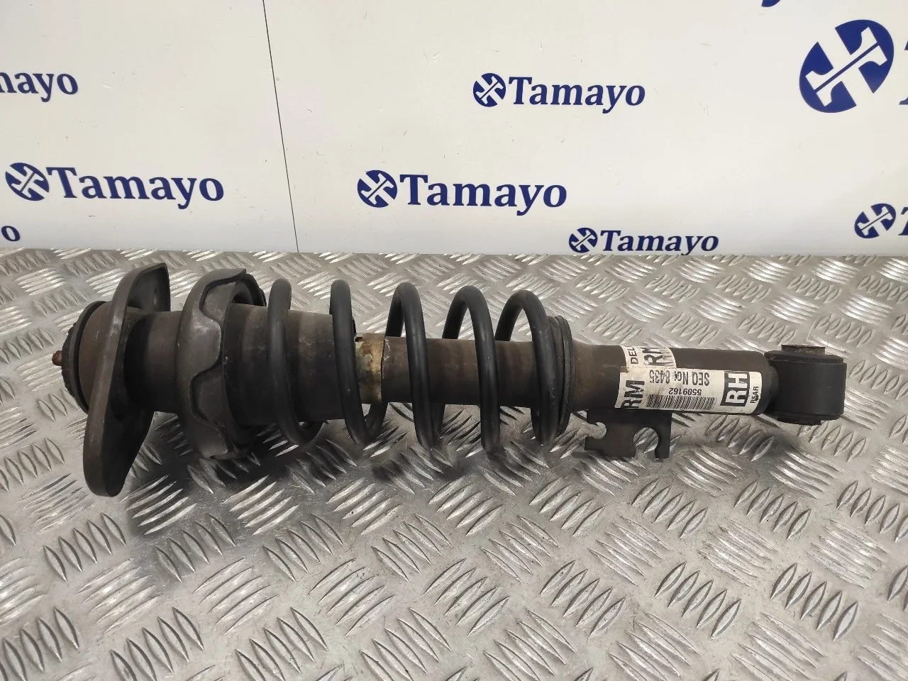 Amortiguador Trasero Izquierdo para Mini Mini (R50,R53)