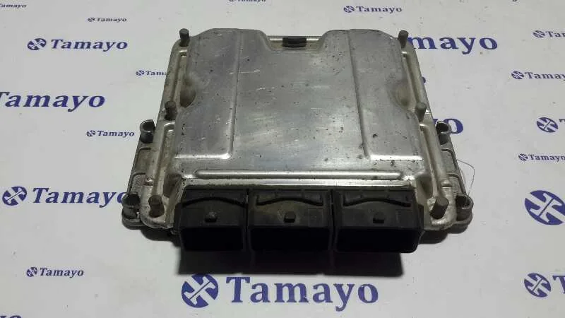 Centralita Motor Uce para Renault Laguna Ii (Bg0)