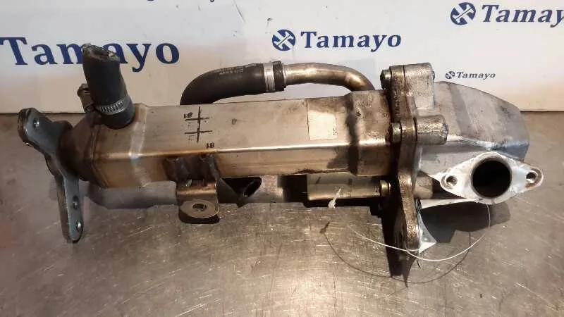 Enfriador Gases para Volvo S60 Berlina