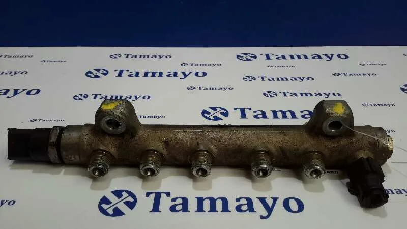Rampa Inyectora para Renault Espace Iv (Jk0)