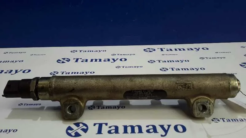 Rampa Inyectora para Renault Espace Iv (Jk0)