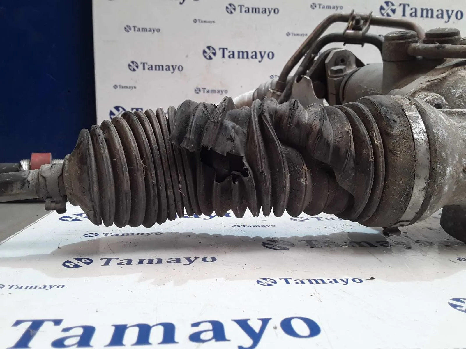 Cremallera Direccion para Mercedes-Benz Clase S (W220) Berlina